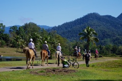 Horse trekking tour