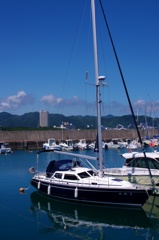 IMGP2561