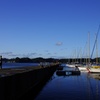 IMGP2695