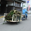 田舎丸出し