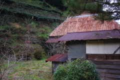 廃屋