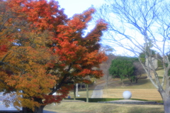 休日の公園