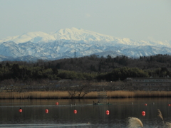 霊峰白山4