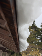 落雪注意