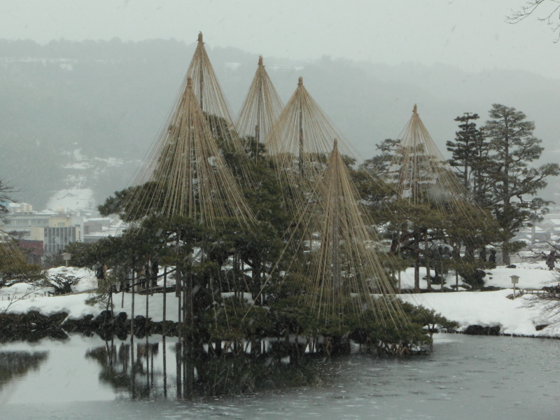 唐崎松2