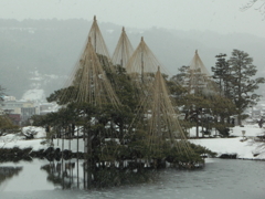 唐崎松2