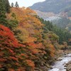 来年に期待しまーす(#^.^#)