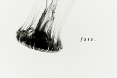 fate.