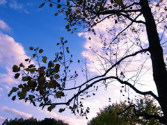 江東区猿江公園