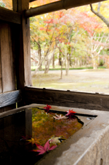 紅葉浴