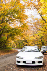 紅葉と愛車その２