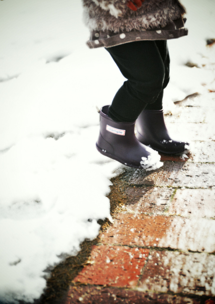 Play in the Snow