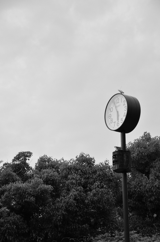 DSC_0878