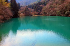 密池
