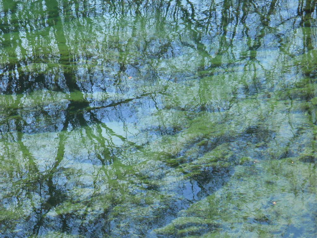 二重層