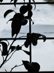 窓外