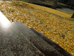 雨上がり、その後