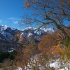 IMGP2700.jpg(R).