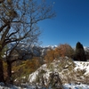 IMGP2681.jpg(R)