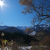 IMGP2682.jpg(R)