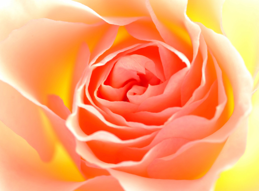 春の気配　（１）