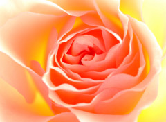 春の気配　（１）