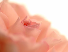 やわらかな時　（２）