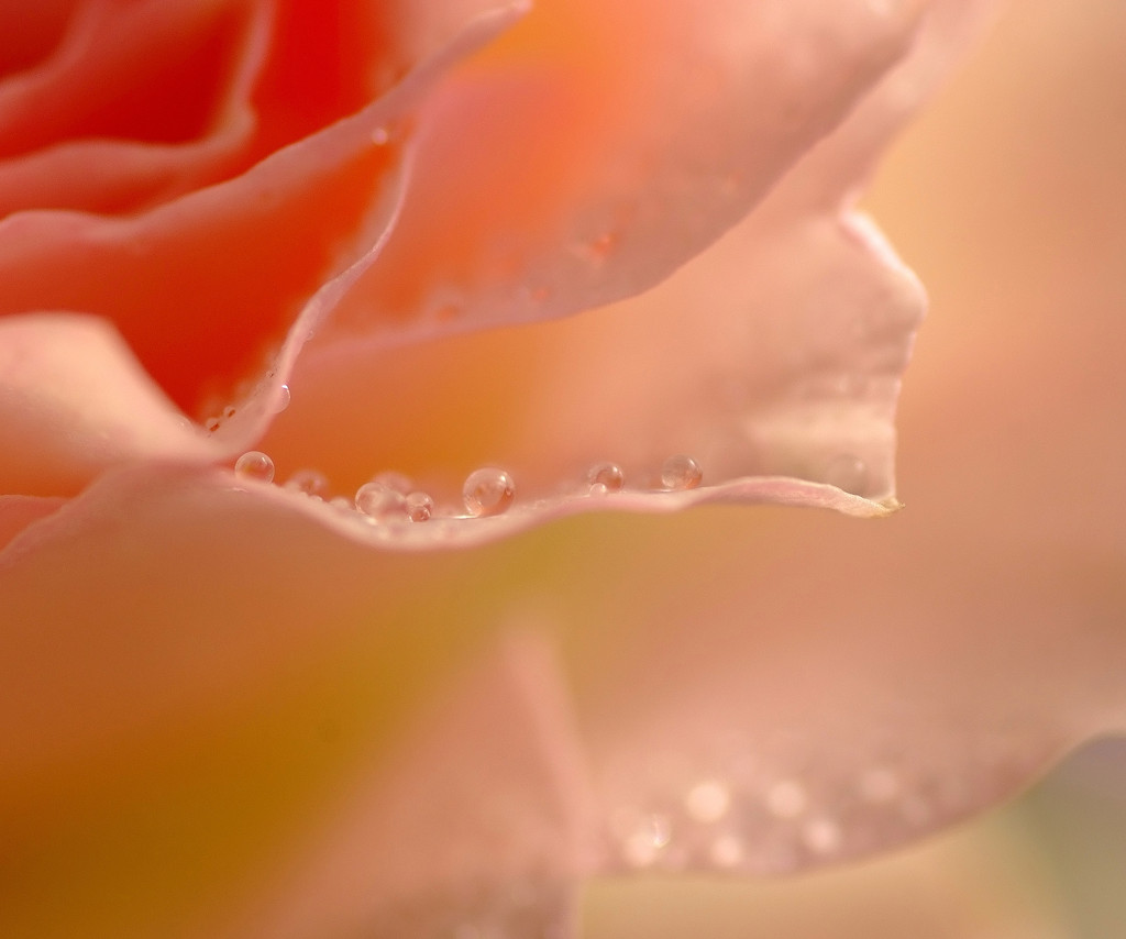 春の気配　（４）