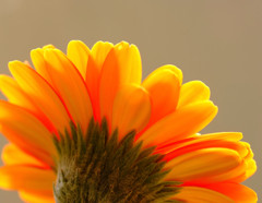 春の誘惑　（４）