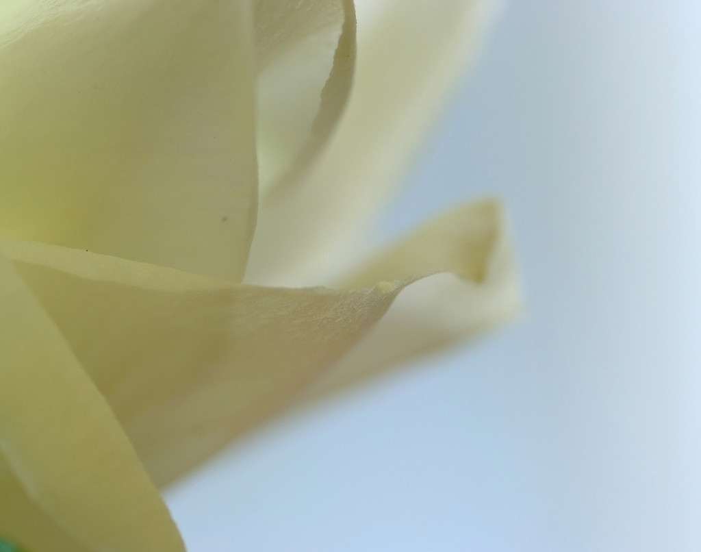 絹の世界へ　１