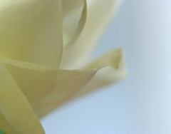 絹の世界へ　１