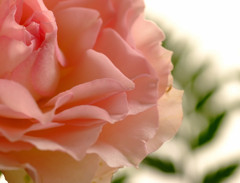 やわらかな時　（３）