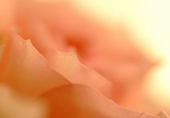 春の気配　（３）