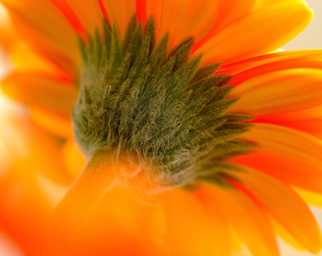 春の誘惑　（５）