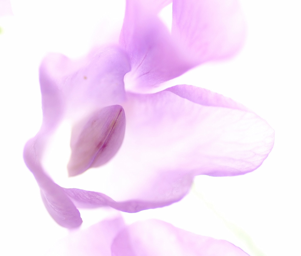 やわらかな時間へ。