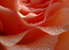 春の気配　（２）