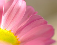 春の予感　（６）