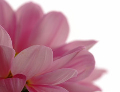 春の予感　（３）