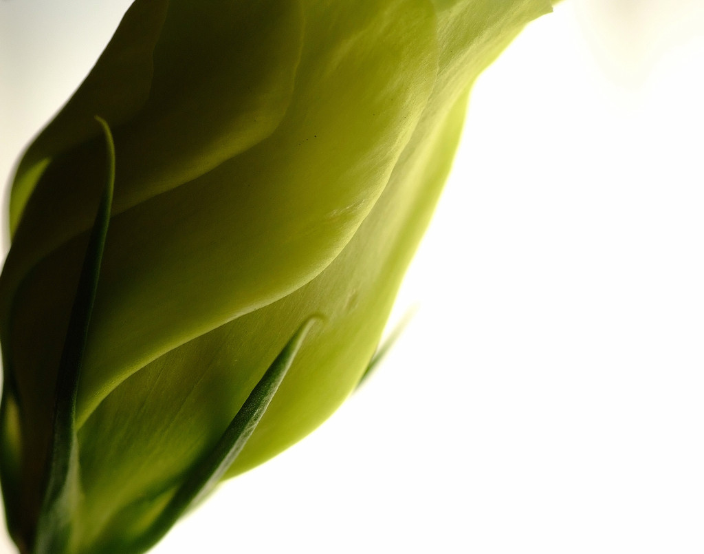 Ｌｉｆｅ　（５）