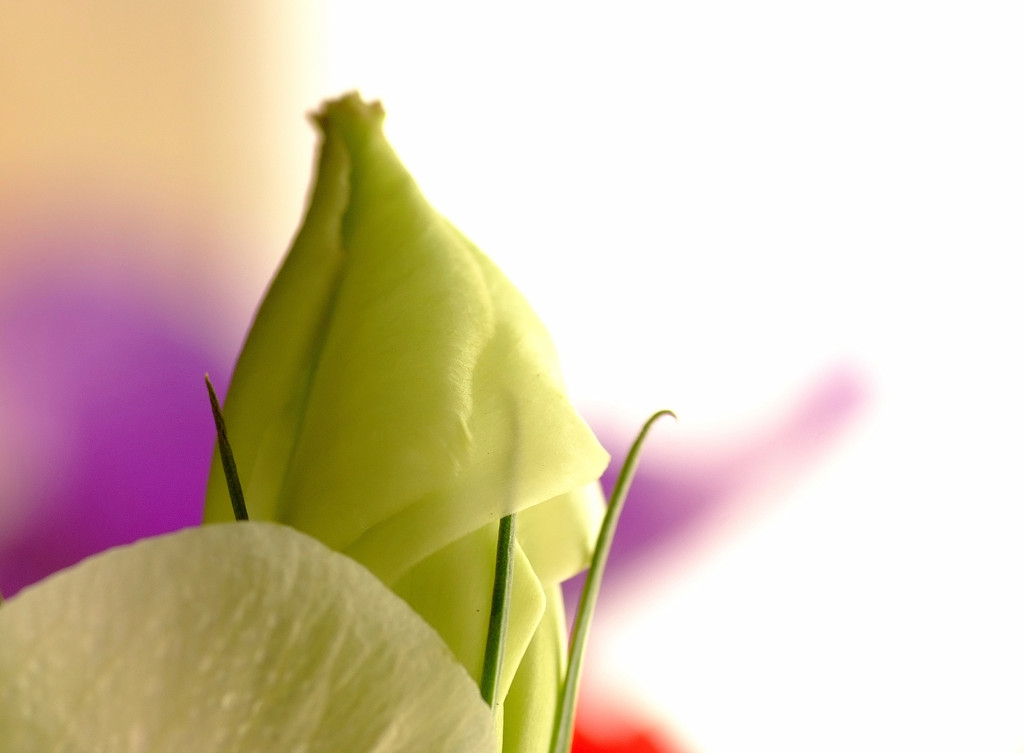 Ｌｉｆｅ　（７）