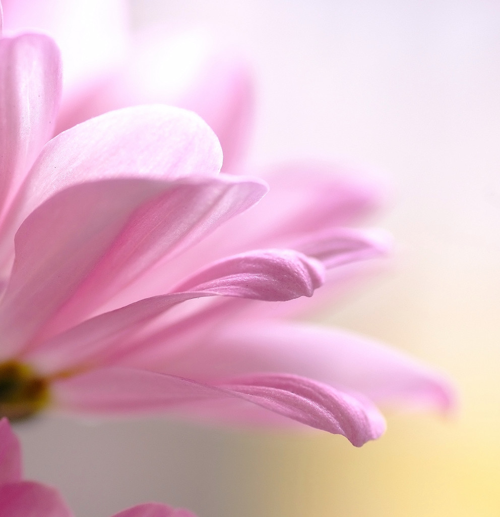 春の予感　（５）