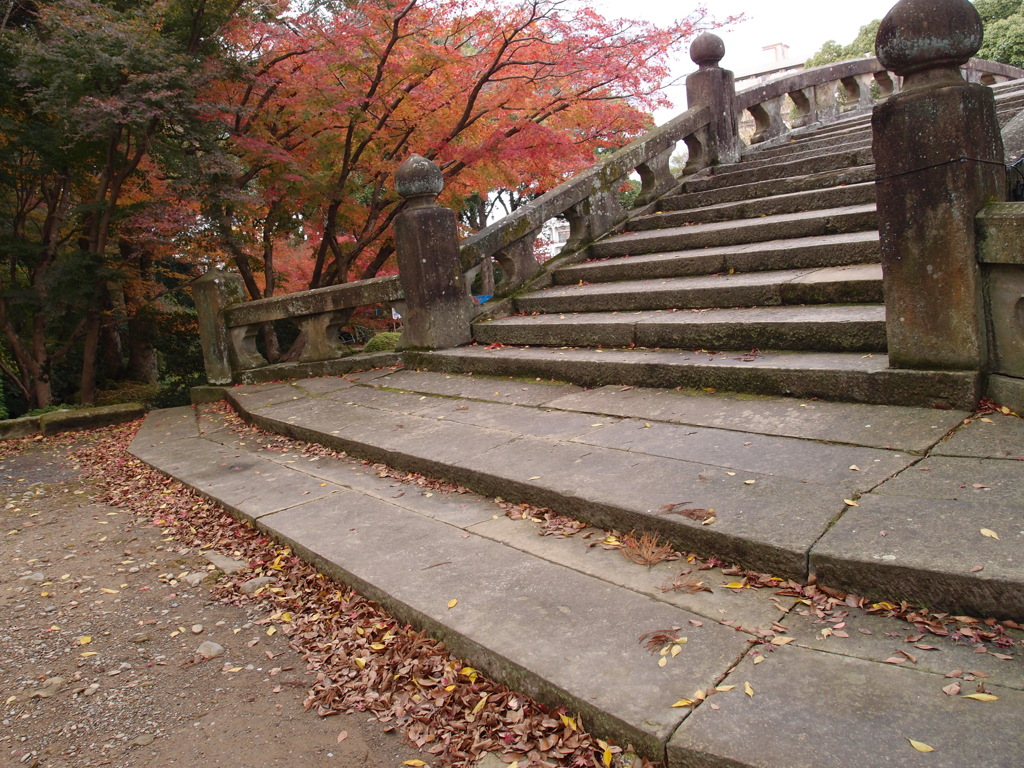 晩秋の諫早公園