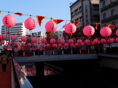銅座川の桃色ランタン