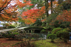 くじら橋