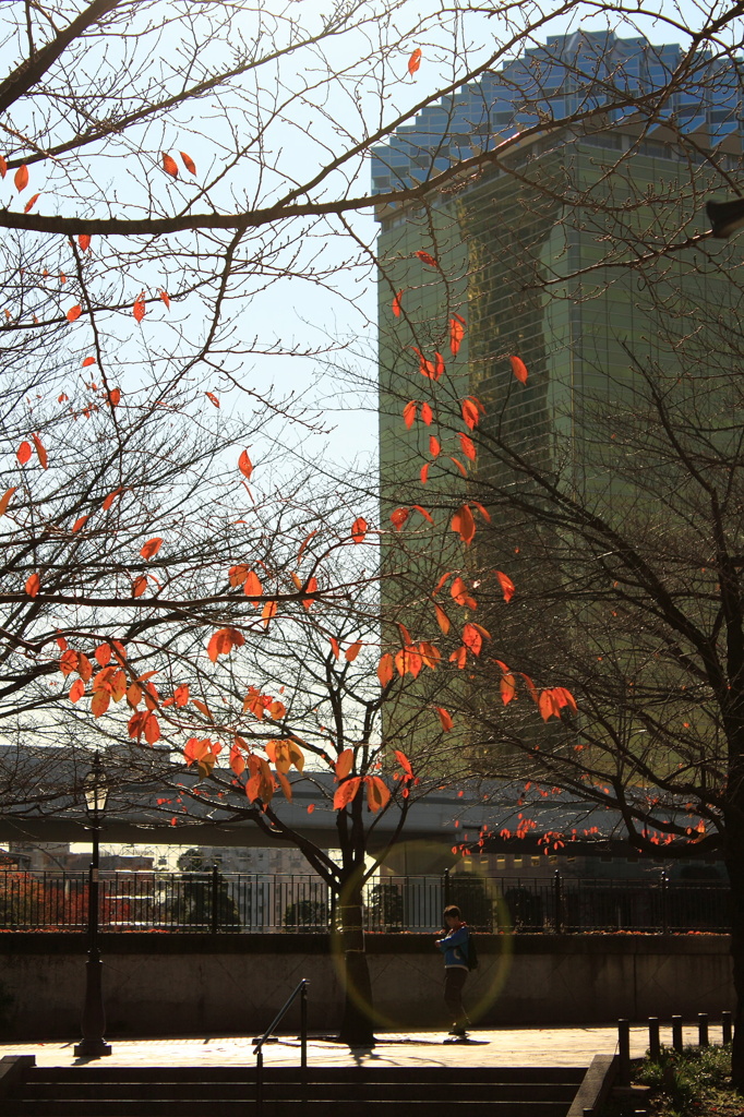 GOLD TREE
