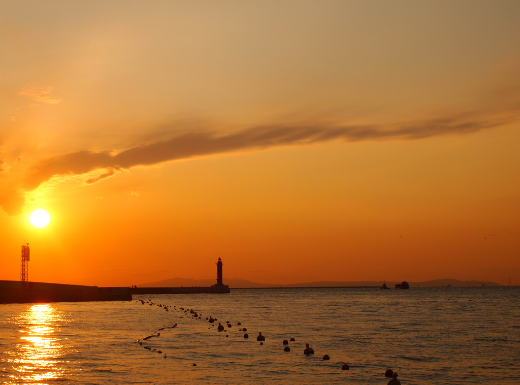 南港の夕日