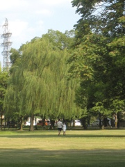 公園