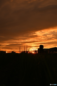 夕暮れ