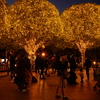 とあるクリスマスシーズンの風景