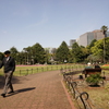 散歩中に
